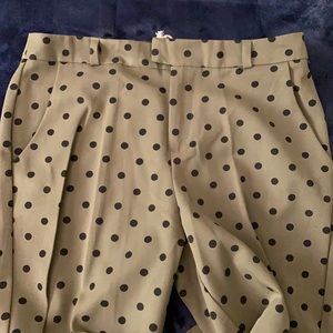 Dressy pants with polka dots